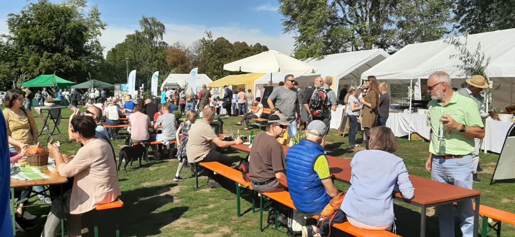 IMG-20190915-WA0003-1024×472-1